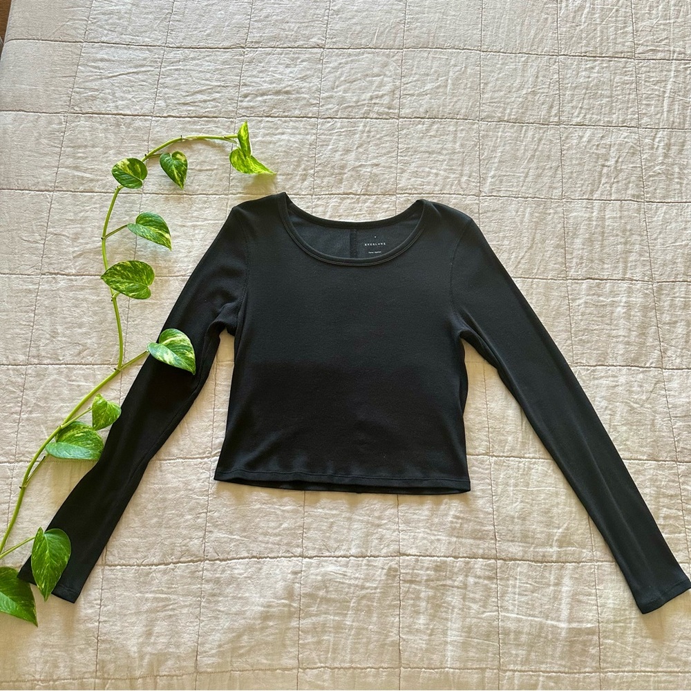 Everlane Cropped Tee